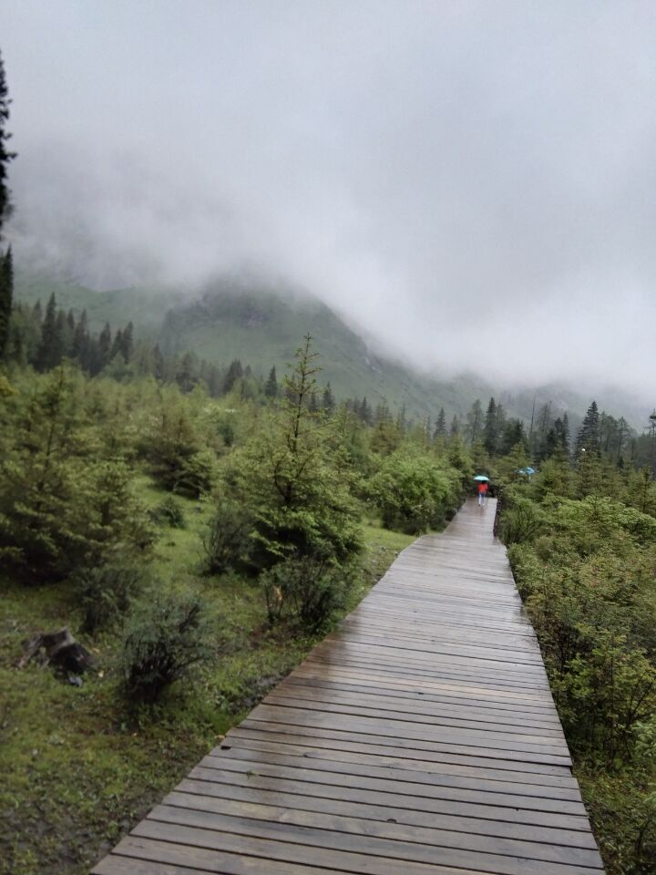 1620451542818155.jpg fileUpload3.jpg