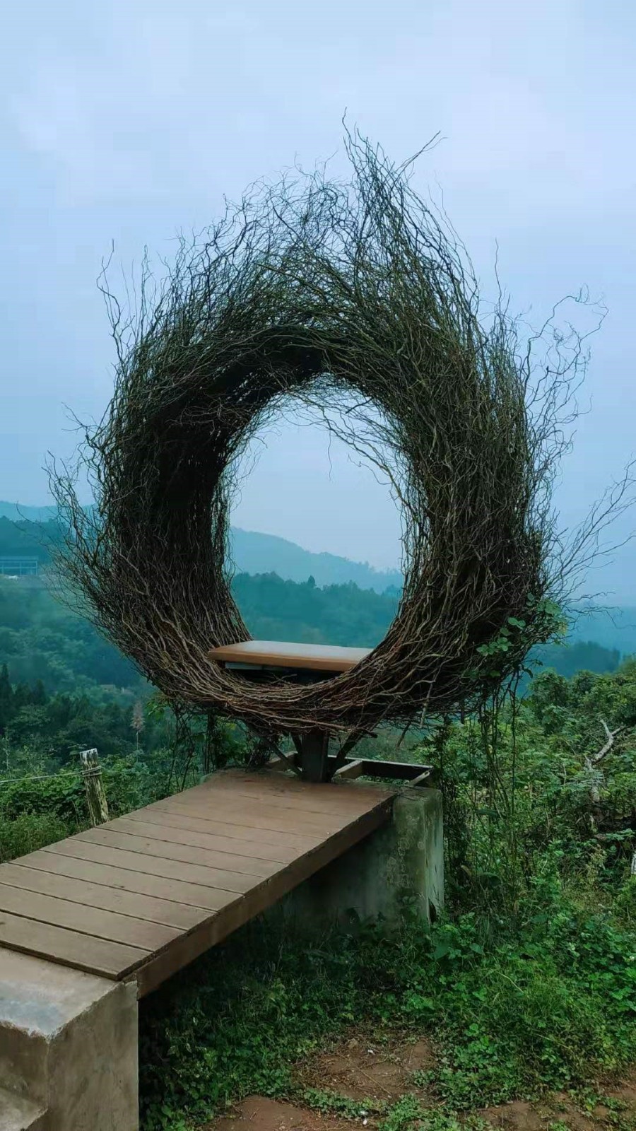 1622186776575637.jpg 9.jpg