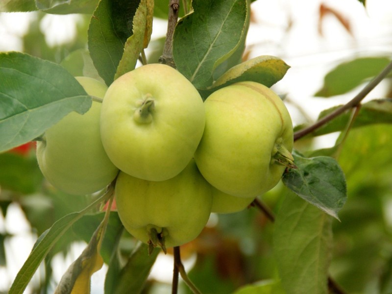 1622424706243395.jpg 3_副本.jpg