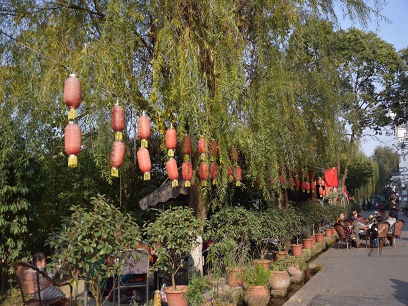 1622432138989913.jpg 11_副本.jpg