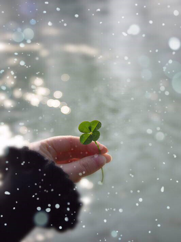 1622432257118855.jpg 16_副本.jpg