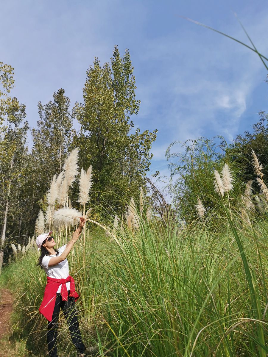 1622439898539822.jpg 36_副本.jpg