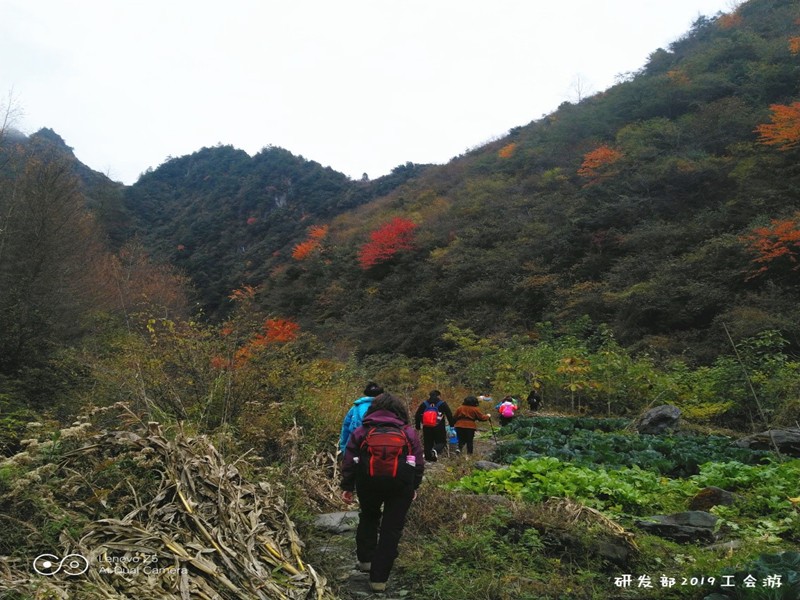 1622443213538099.jpg 4_副本.jpg