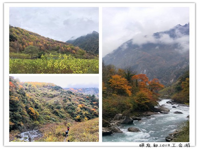 1622443370302453.jpg 7_副本.jpg