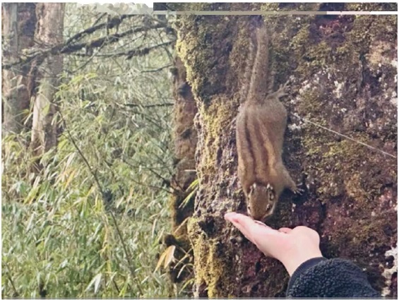 1710394531422475.jpg 喂松鼠.jpg