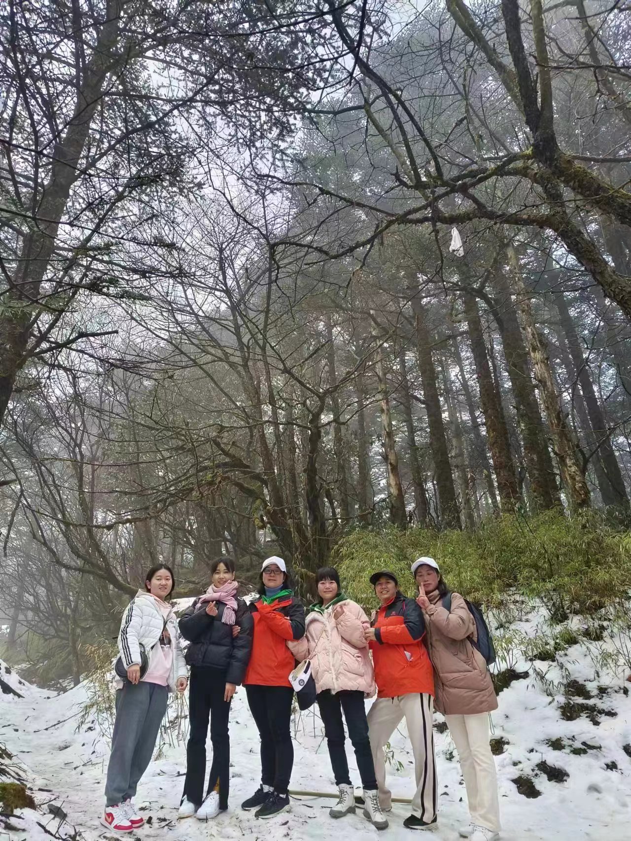 1710394536818156.jpg 微信图片_20230419101214.jpg