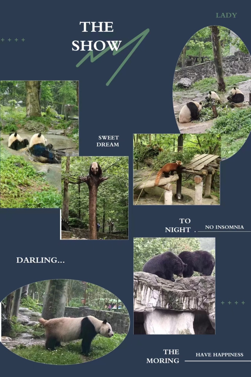 1710402034920306.jpg 12.jpg