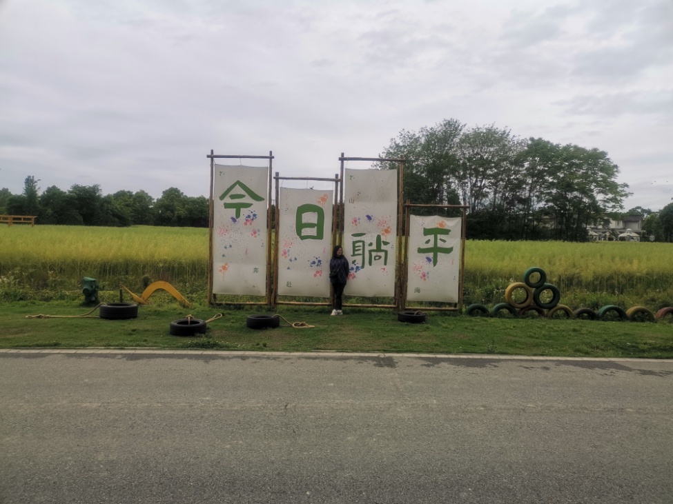 1710402055794975.jpg 14.jpg