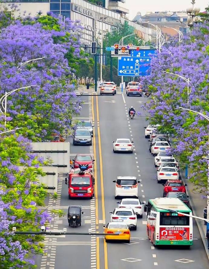 1745912585977145.jpg 1.jpg